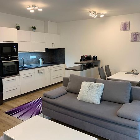 Apartman S Vyhlidkou Horní Maršov المظهر الخارجي الصورة