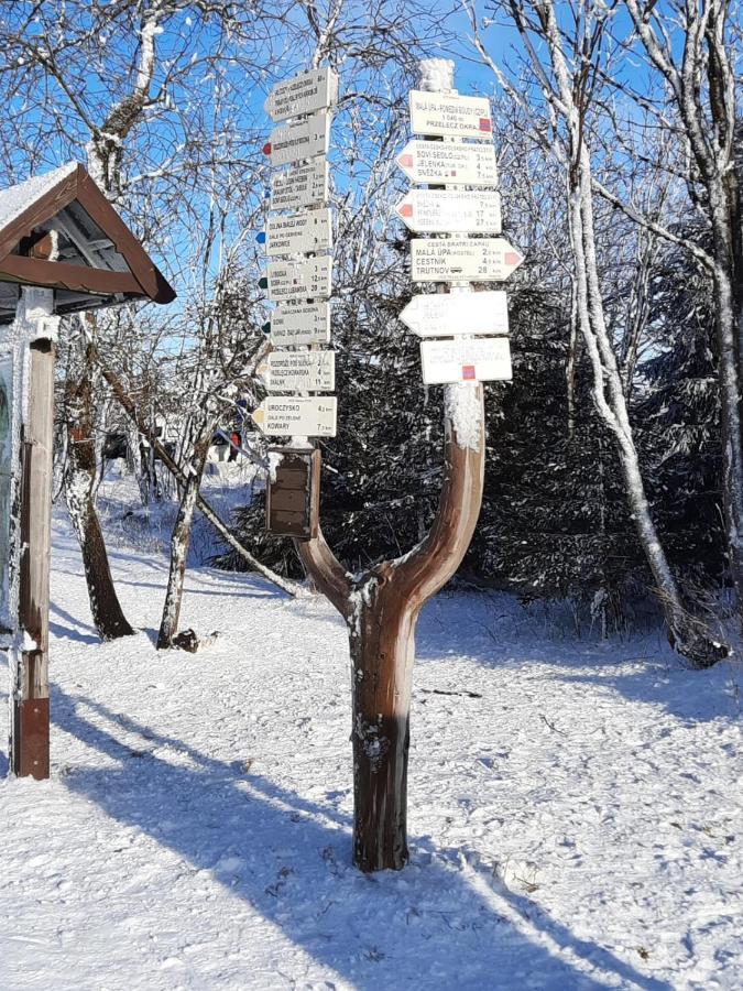 Apartman S Vyhlidkou Horní Maršov المظهر الخارجي الصورة